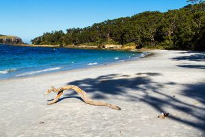 Read more about the article Jervis Inlet: A Seaside Heaven Ready to be Investigated