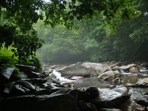 Read more about the article Gatlinburg cabin rentals with mountain views