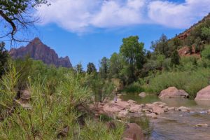 Read more about the article Zion National Park travel guide